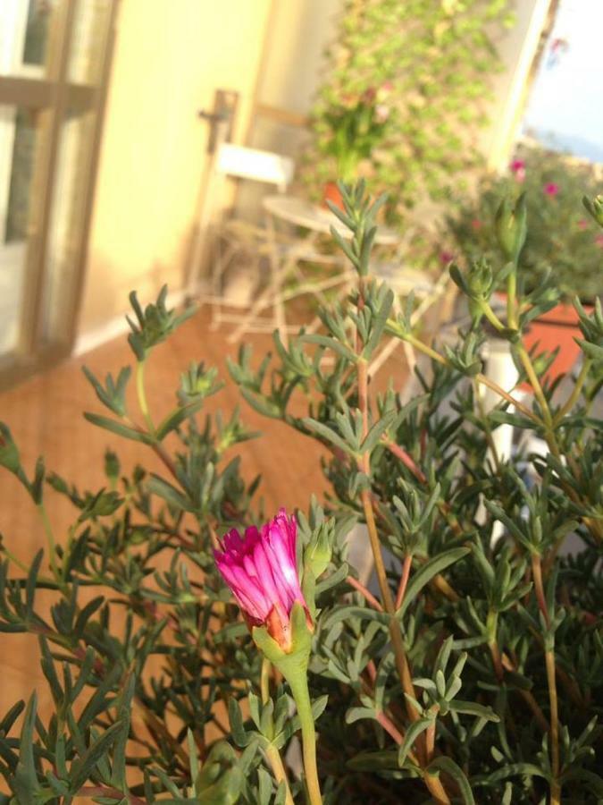 Leucosia Bed & Breakfast Салерно Екстериор снимка